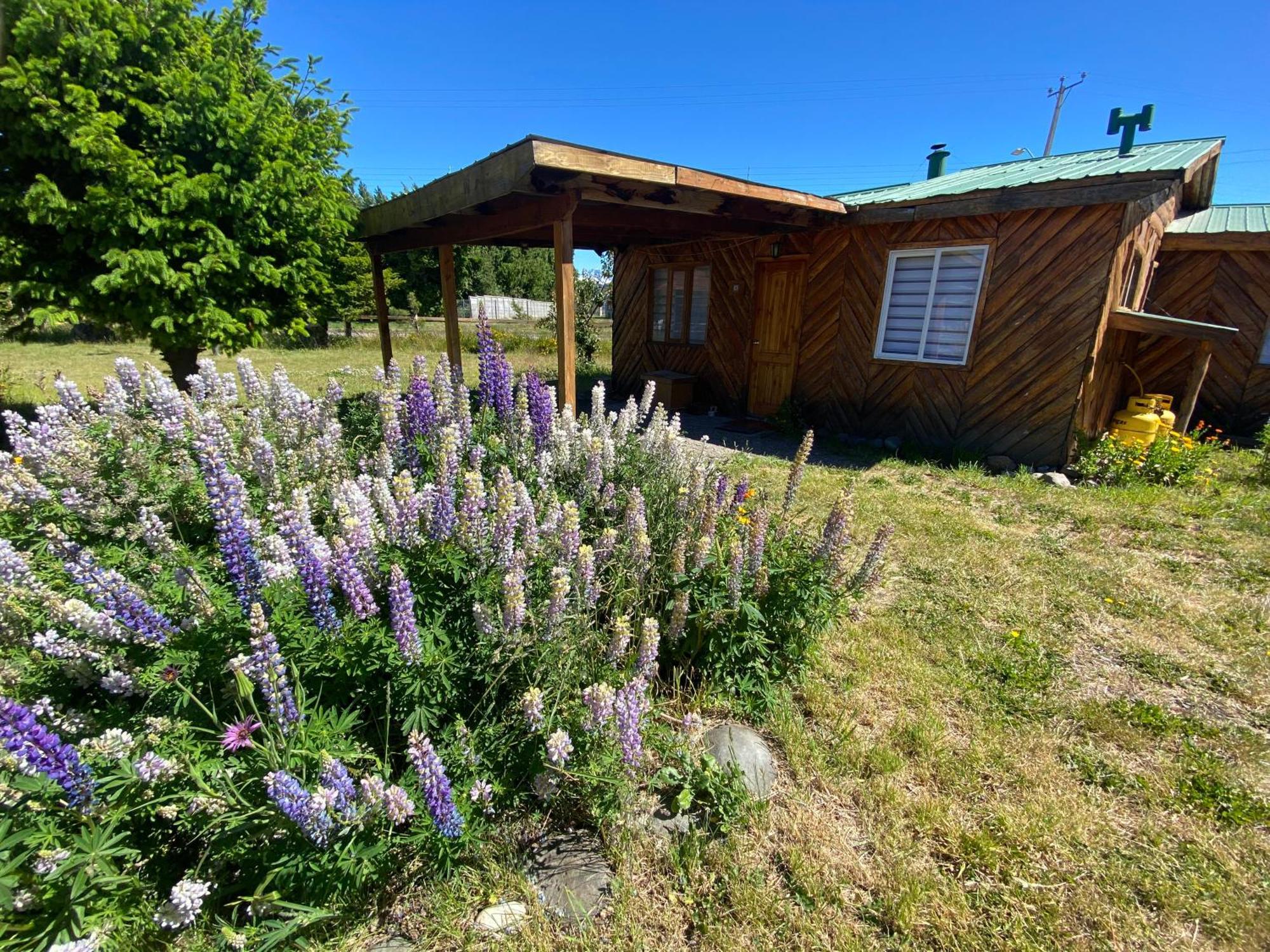 Patagonia Bordelago Пуэрто-Инхеньеро-Ибаньес Экстерьер фото